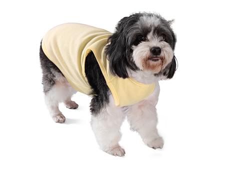 Camiseta Top Perro Sublimaci&oacute;n (Amarillo)