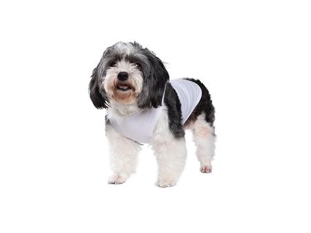 Camiseta Top Perro Sublimaci&oacute;n (Blanco)